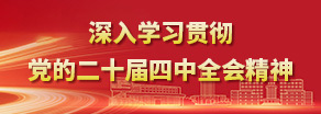 深入学习贯彻党的二十届四中全会精神